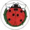Lady Bug Logo
