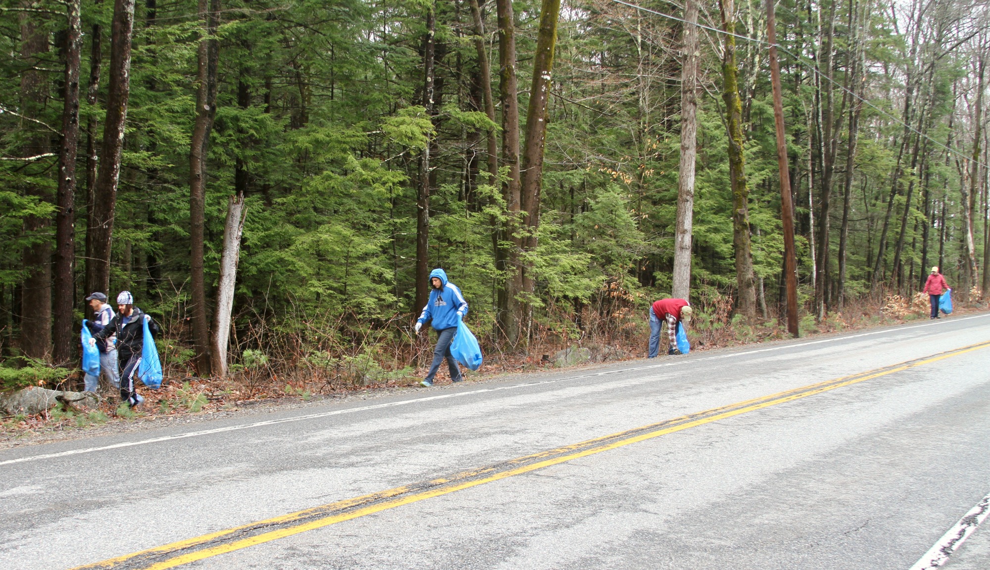People Picking Up Trash Next to Road