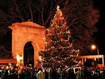 Downtown Xmas Tree
