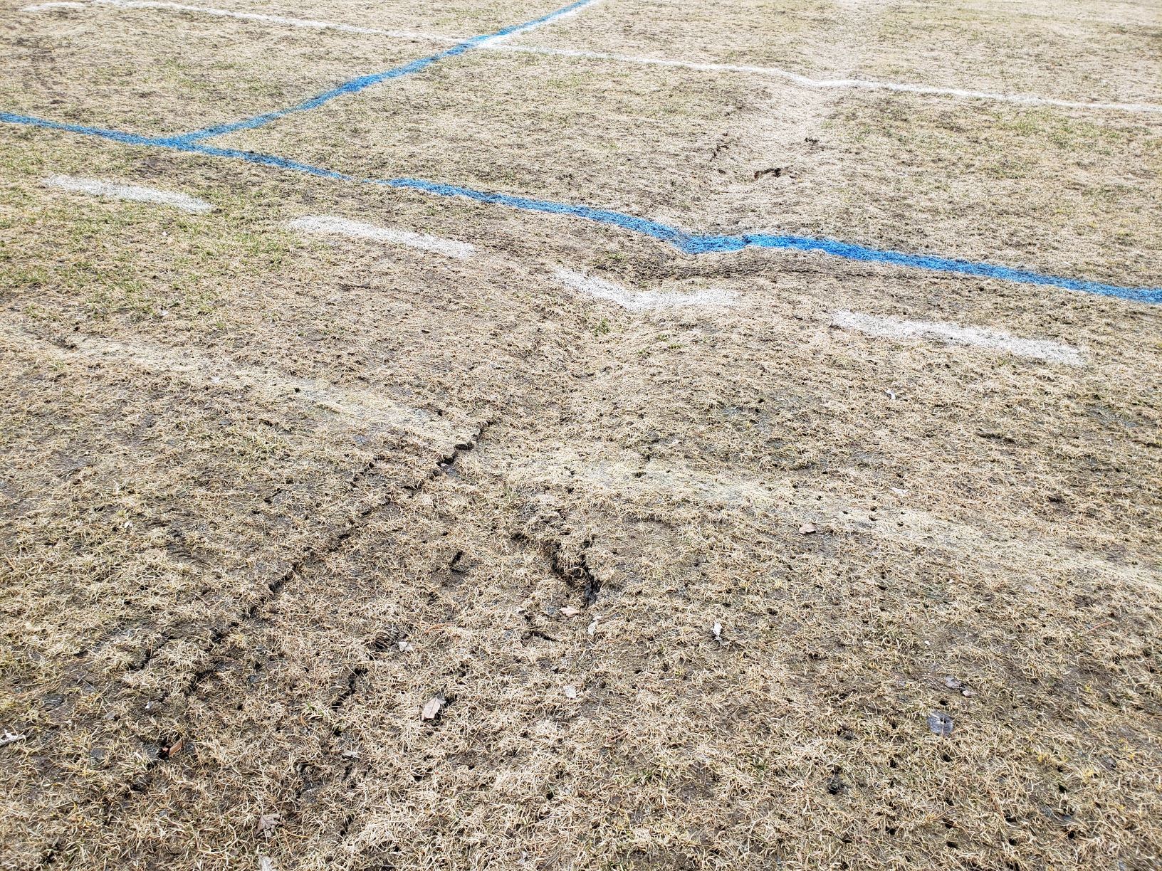 Mem Field April 12 2019 frost coming out