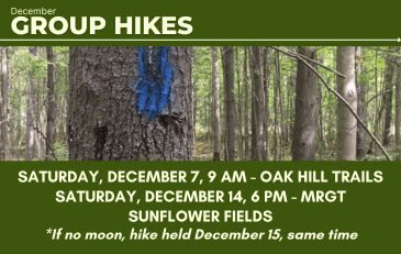 December 2024 Group Hikes