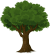 tree-pixabay