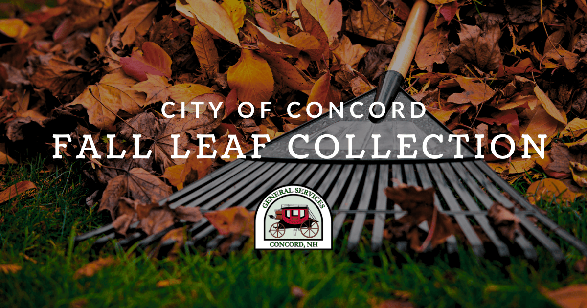 FB - Fall Leaf Collection