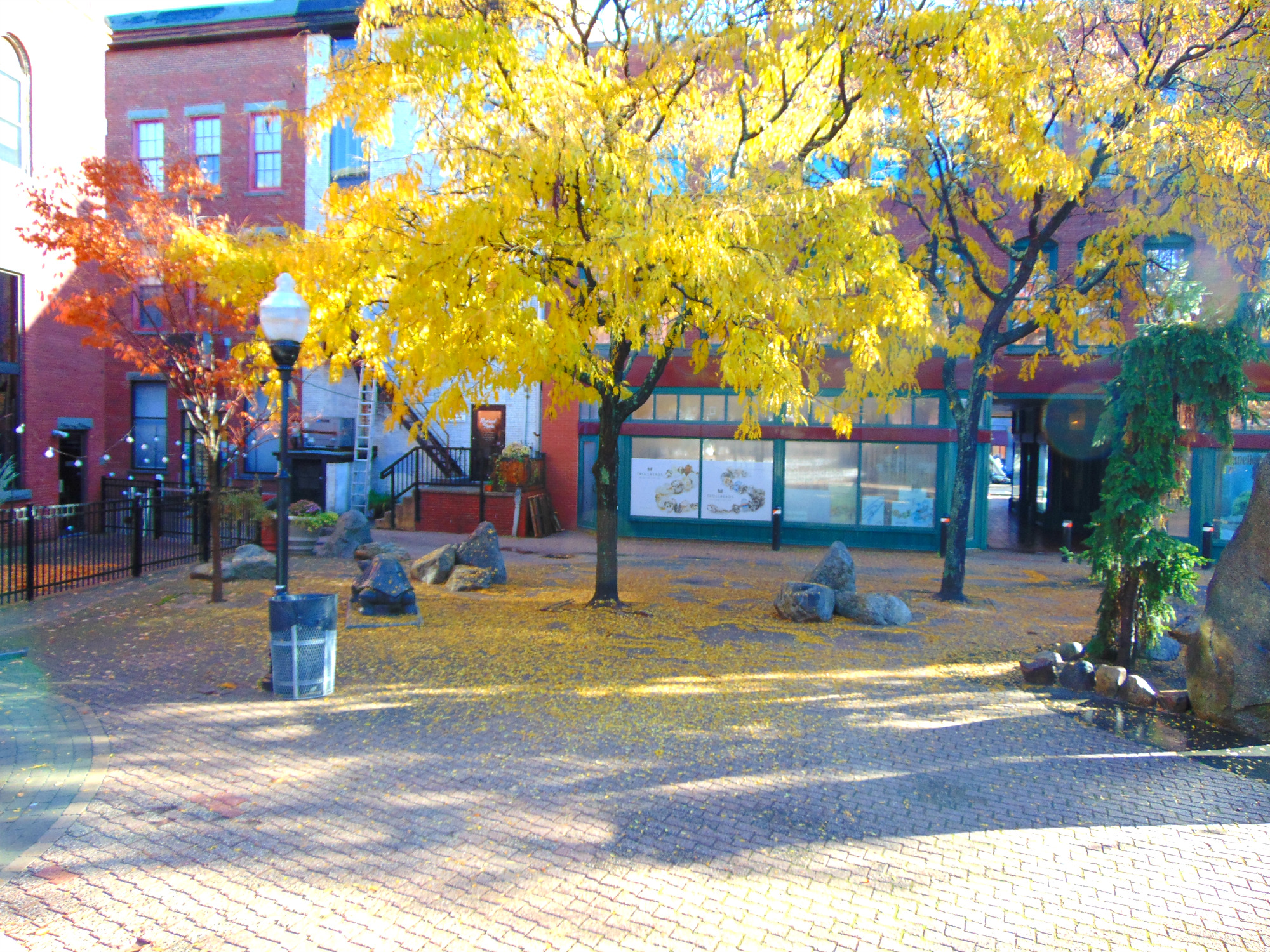 Bicentennial Square 1
