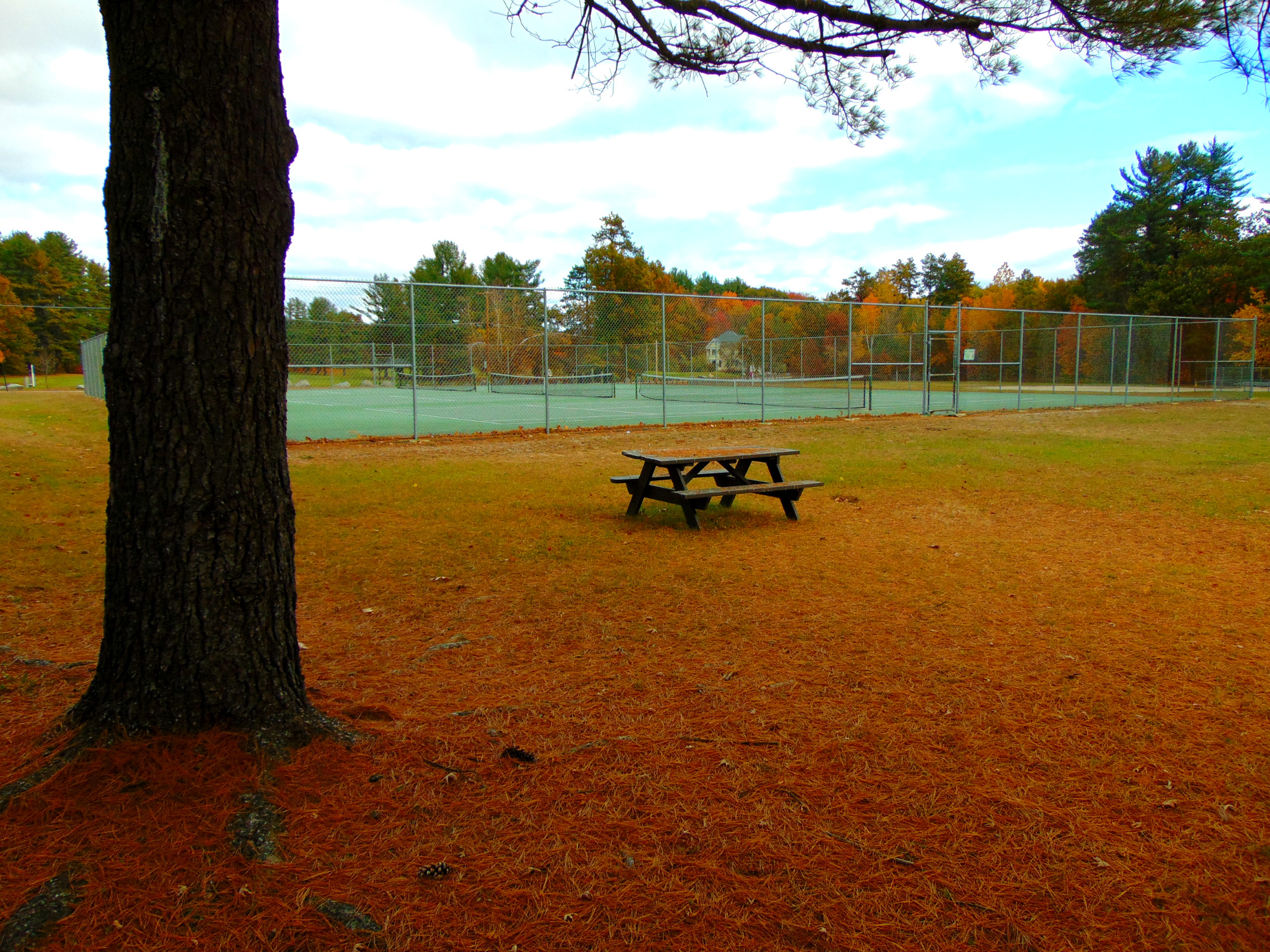Beaver Meadow Tennis Courts